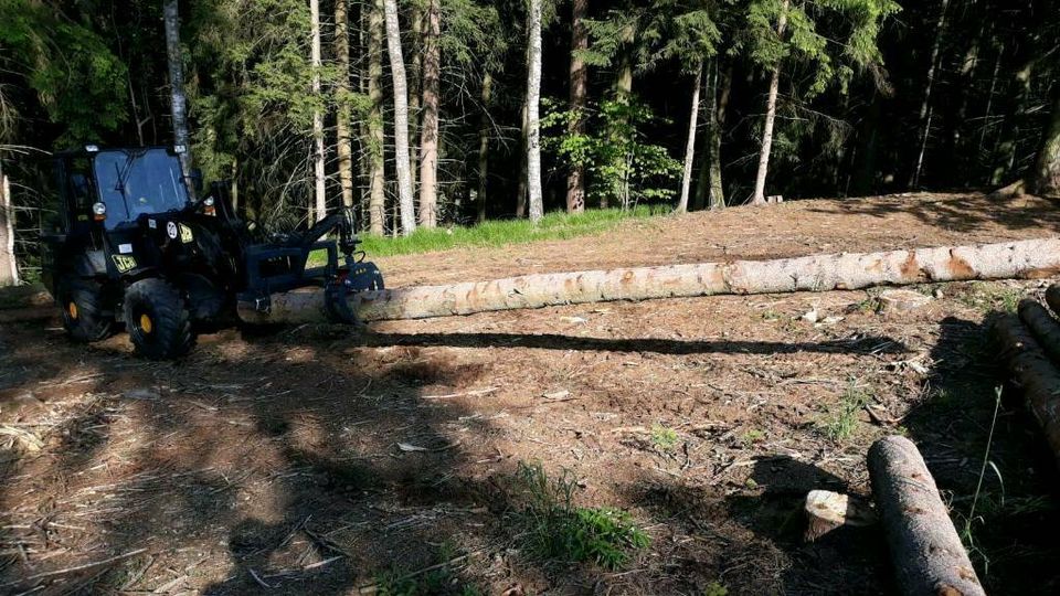 Rückezange Verladezange Holzzange Bausatz in Arnstorf