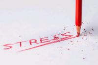 Workshop "Stress lass nach!" am 16.06. in Martfeld Niedersachsen - Schwarme Vorschau