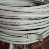 Netzwerkkabel, LAN-Kabel, Cat 5 Nordrhein-Westfalen - Lippstadt Vorschau