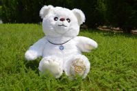 Teddy Snowwhite, Echtsilber, Swarovski, Gold naht, Limited Editi. Hessen - Nidda Vorschau