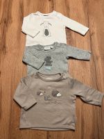 3 x Shirt im Kleiderpaket Rheinland-Pfalz - Windhagen Vorschau