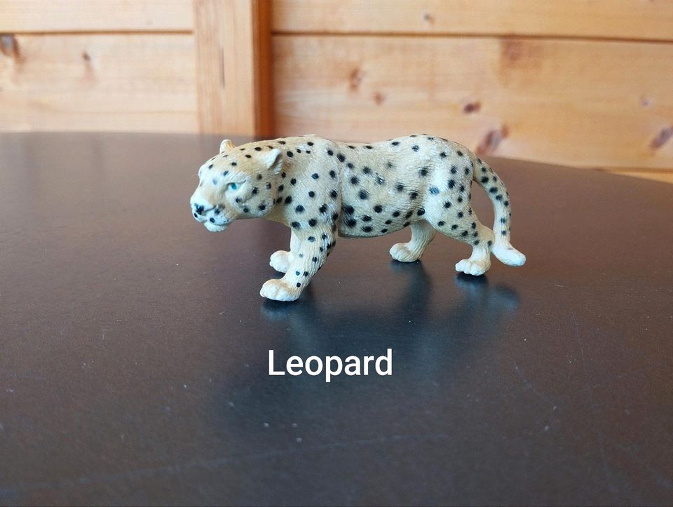 Schleich Gepard Leopard Jaguar in Bad Soden-Salmünster