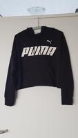 Puma Hoodie Kapuzen-Sweatshirt Pullover Pulli Größe M Nordrhein-Westfalen - Mönchengladbach Vorschau