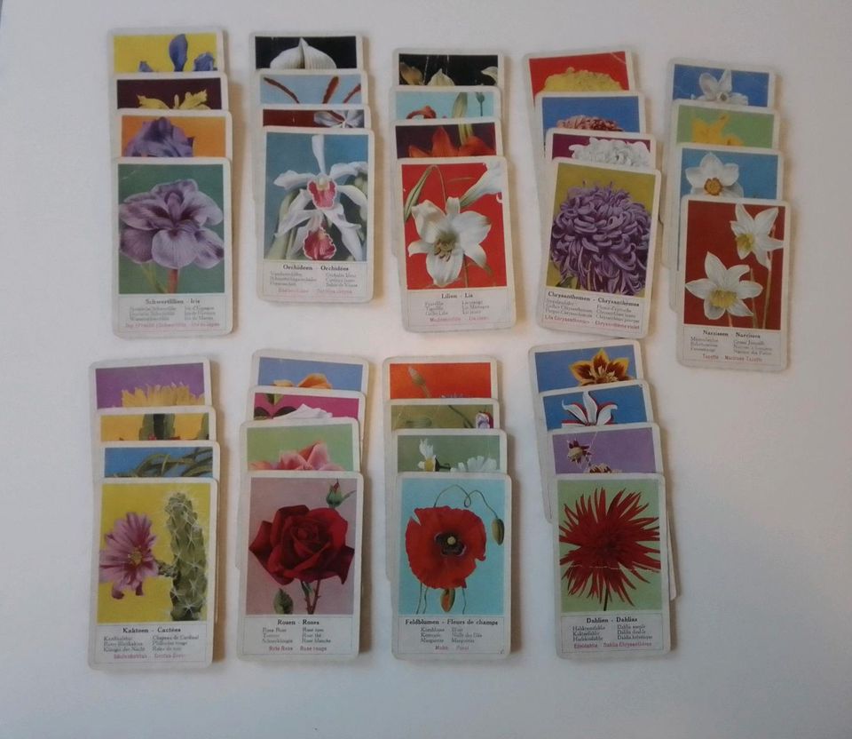Quartett Blumen 36 Spielkarten in Groß Wittensee