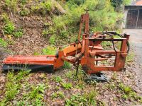 Mulcher gebraucht Bayern - Neustadt b.Coburg Vorschau