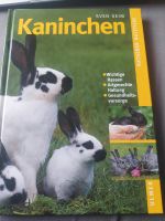 Kaninchen Buch Sachsen-Anhalt - Hoym Vorschau