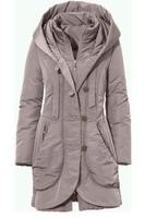 Damen Winterjacke/Parka/Kurzmantel, grau Hessen - Neustadt Vorschau
