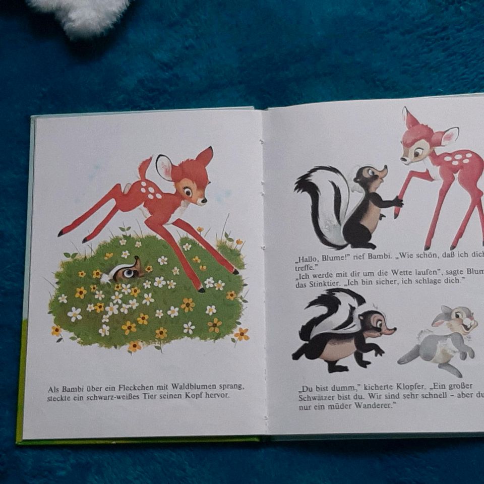 Walt Disney retro Kinderbuch aus 1975, Bambi verläuft sich in Saarbrücken