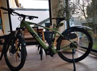 Ebike Raymon HardRay E 4.0  / 50 Rahmenhöhe Neuwertig Duisburg - Rumeln-Kaldenhausen Vorschau