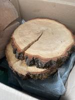 Holzscheiben Hochzeitsdeko Hessen - Gießen Vorschau
