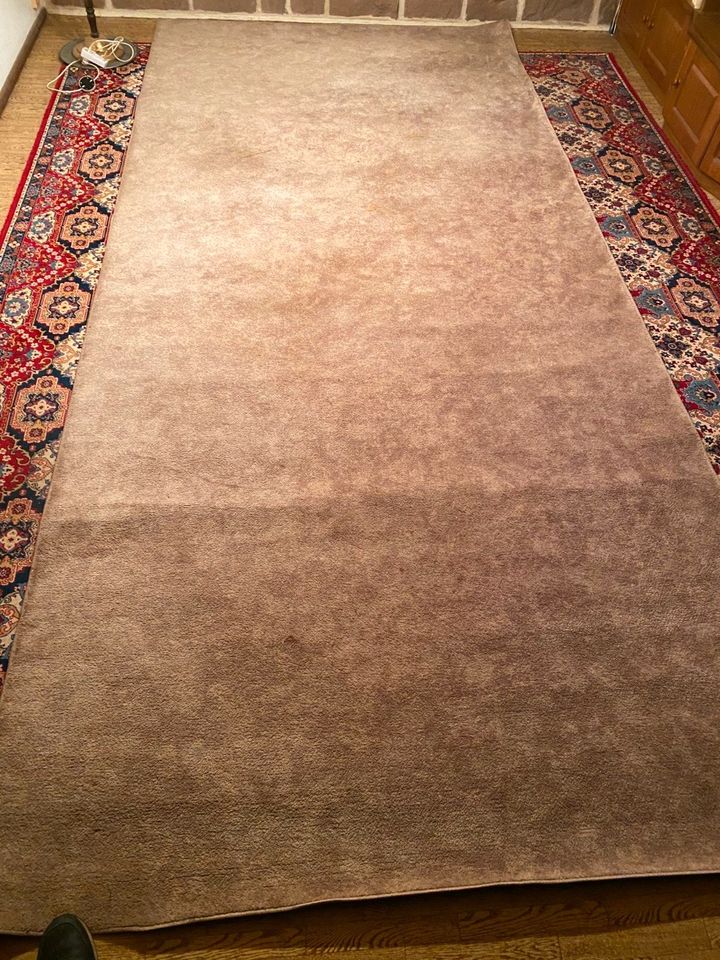 Teppich Läufer 450 X 200 cm Beige in Stendal