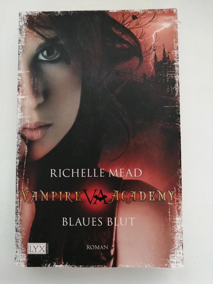 Buch Roman Richelle Mead Vampire Academy Blaues Blut Bestseller in Rüthen