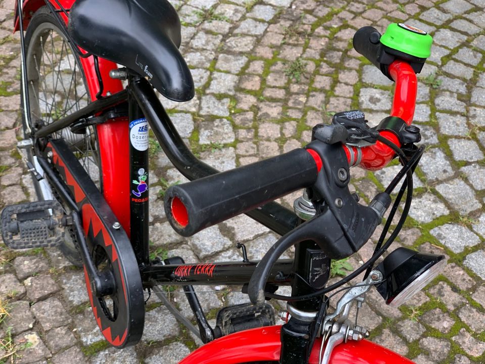 Pegasus Kinderfahrrad 20 Zoll in Weissach