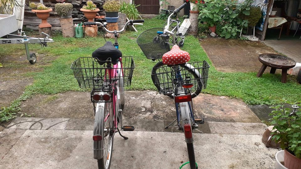 Zwei Damen Fahrräder. Guter Zustand in Oranienburg