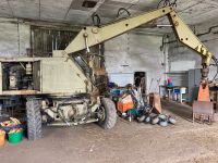 Bagger T 174-2 mit nachgerüsteten Greifer-Drehkopf Sachsen - Königsbrück Vorschau