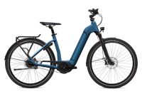 Reduziert *NEU* FLYER E-Bike Gotour 6 3.40 // Zweiradhaus Grave Niedersachsen - Hagen am Teutoburger Wald Vorschau