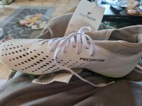 Fußballschuhe Herren predator Accury 9 1/2 Bayern - Steinberg am See Vorschau