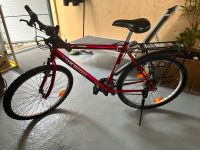 Herrenfahrrad 28 Zoll Baden-Württemberg - Radolfzell am Bodensee Vorschau