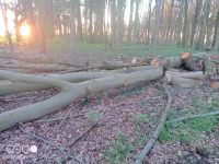 Kamin Holz zum selber sägen Niedersachsen - Asendorf (bei Bruchhausen-Vilsen) Vorschau