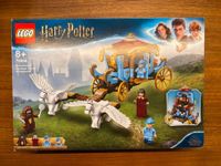 LEGO Harry Potter 75958 "Kutsche von Beauxbatons" Brandenburg - Potsdam Vorschau