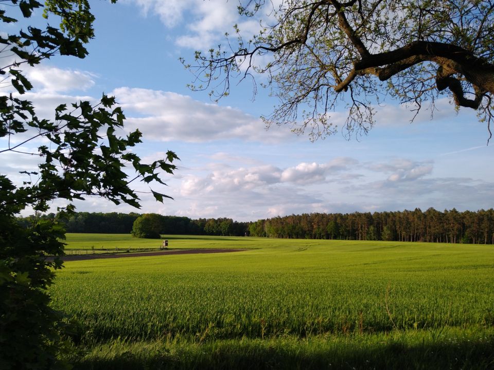 Suche Freizeitgrundstück mit Bungalow in Berlin