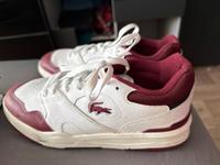 Lacoste Schuhe Herren Brandenburg - Eberswalde Vorschau
