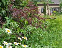 Hinteres Teilungsgrundstück (vermessen), gute öffentliche Anbindung Berlin - Köpenick Vorschau