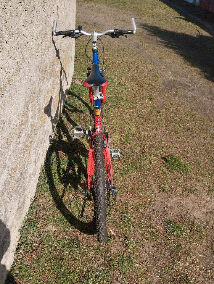 Wheeler Fahrrad Retro MTB 26" in Wilhelmsburg