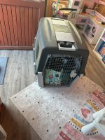 Hundebox xxl Kreis Pinneberg - Quickborn Vorschau