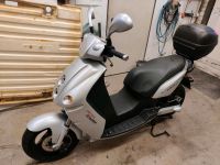 E-max 90 S Elektro Roller scooter Saarland - Tholey Vorschau