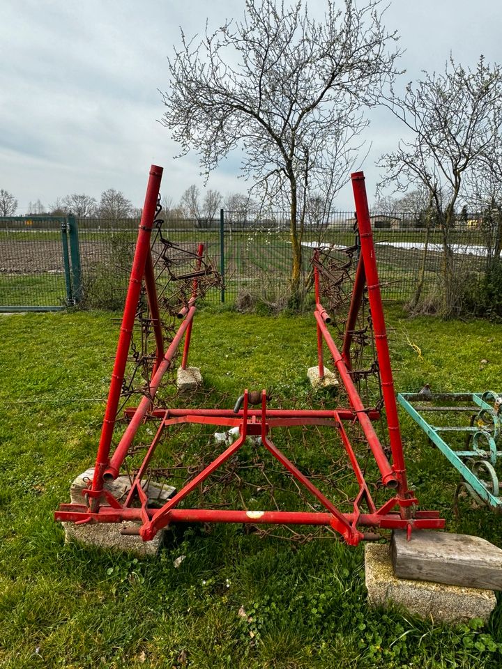 Wiesenstriegel in Griesheim