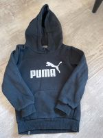 Puma Pullover 98 Sachsen-Anhalt - Wernigerode Vorschau