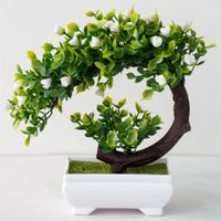 Künstliche Pflanzen Bonsai simulierte Baum Sachsen-Anhalt - Magdeburg Vorschau