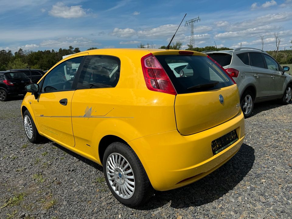 Fiat Grande Punto 1.2 Benzin Klima guter Zustand Zahnriemen neu in Wildau