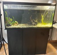 Aquarium 200L mit Zubehör Nordwestmecklenburg - Landkreis - Gägelow Vorschau