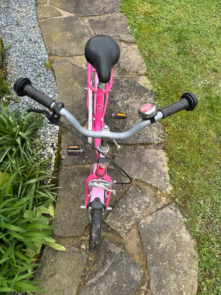PUKY Fahrrad 16 Zoll Baby Born Mädchen pink rosa verstellbar in Solingen