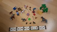 Playmobil Ponies mit Zubehör Nordrhein-Westfalen - Ratingen Vorschau