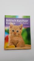 Ihr Hobby Britisch Kurzhaar Katzen Dominik Kieselbach Buch Bayern - Scheuring Vorschau