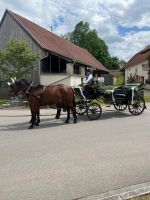 Hochzeitskutsche Kutschfahrten Bayern - Kutzenhausen Vorschau