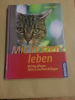 Mit Katzen leben Denise Seidl pflegen, füttern , beschäftigen Lübeck - St. Lorenz Nord Vorschau