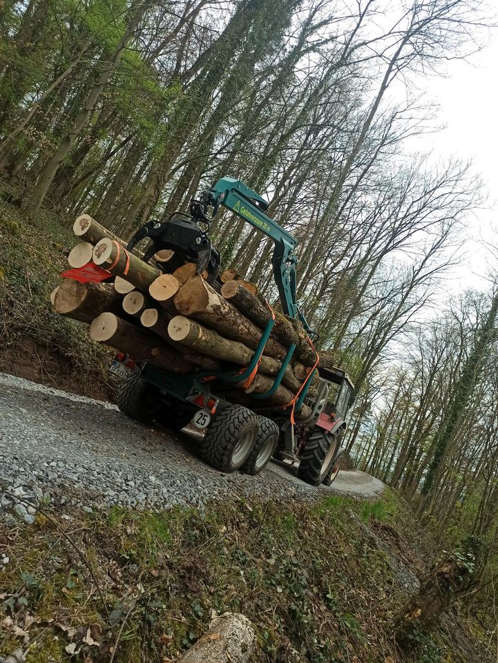 Holztransport|Rückewagen|Holzrückung in Großbottwar