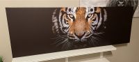 Tiger Bild, Leinwand Dresden - Reick Vorschau