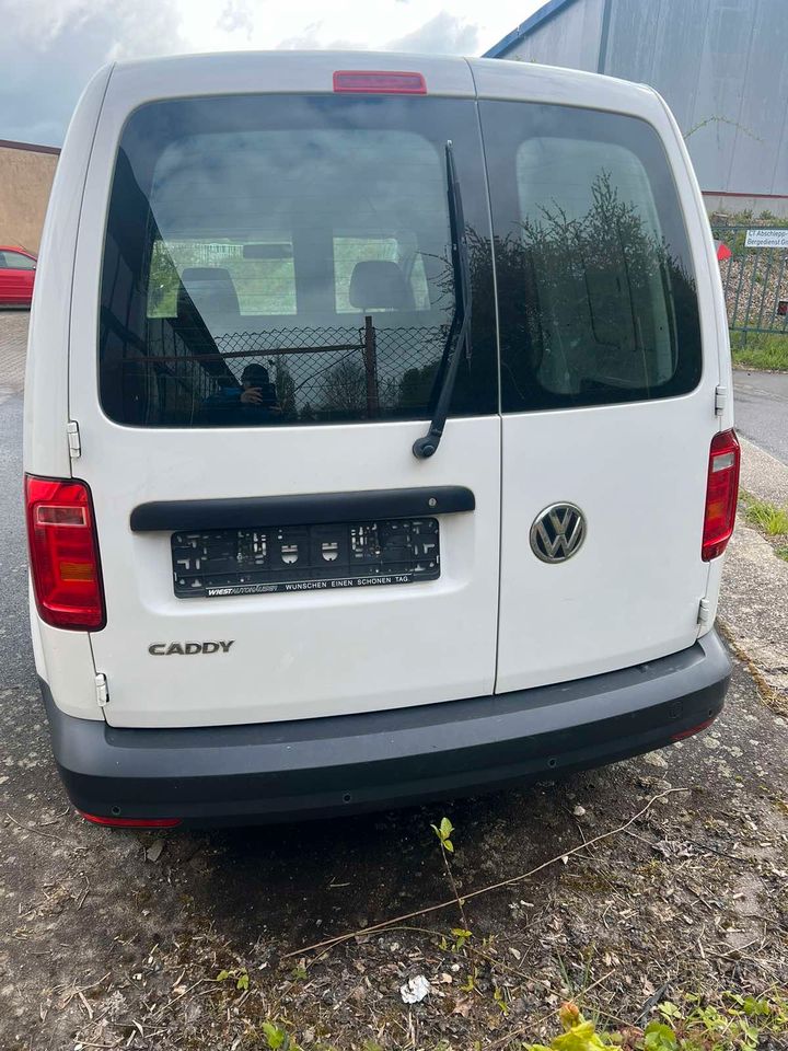 Volkswagen Caddy 2.0 TDI in Bitburg