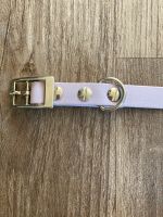 Neu Flieder Hundehalsband Biothane Gr. 22 cm - 28 cm kleine Hunde Osnabrück - Hasbergen Vorschau