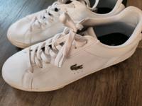 Sneaker Lacoste gr 46,5 neuwertig Hessen - Niestetal Vorschau