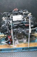 Motor    Audi   DDT PLUS 605ps 4 0tfsi 13tkm komplett Sachsen - Dippoldiswalde Vorschau