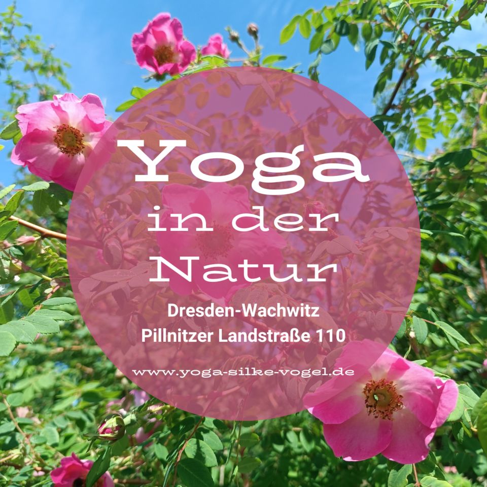 Yoga in der Natur - Dresden-Wachwitz in Dresden
