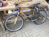 Giant Fahrrad Mountainbike Carbon 26 Zoll Rheinland-Pfalz - Wittlich Vorschau