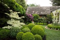 Gartenarbeit|Gartenhilfe|Heckenschneiden|Gartenpflege|Rasenmähen Baden-Württemberg - Böhmenkirch Vorschau