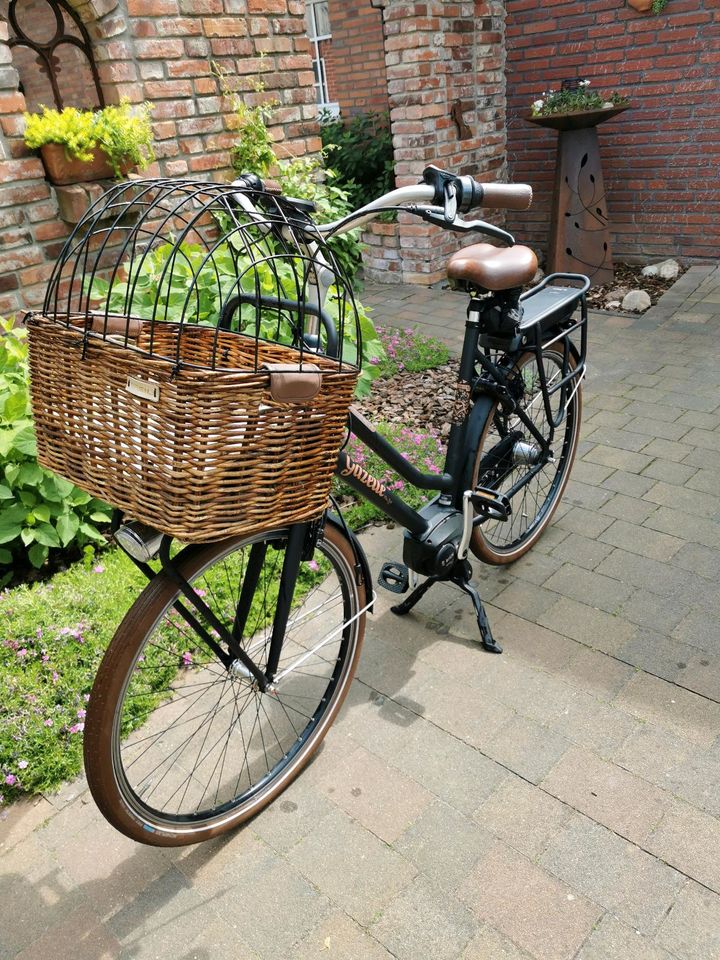 Miss Grace E-bike von Gazelle in Stadtlohn